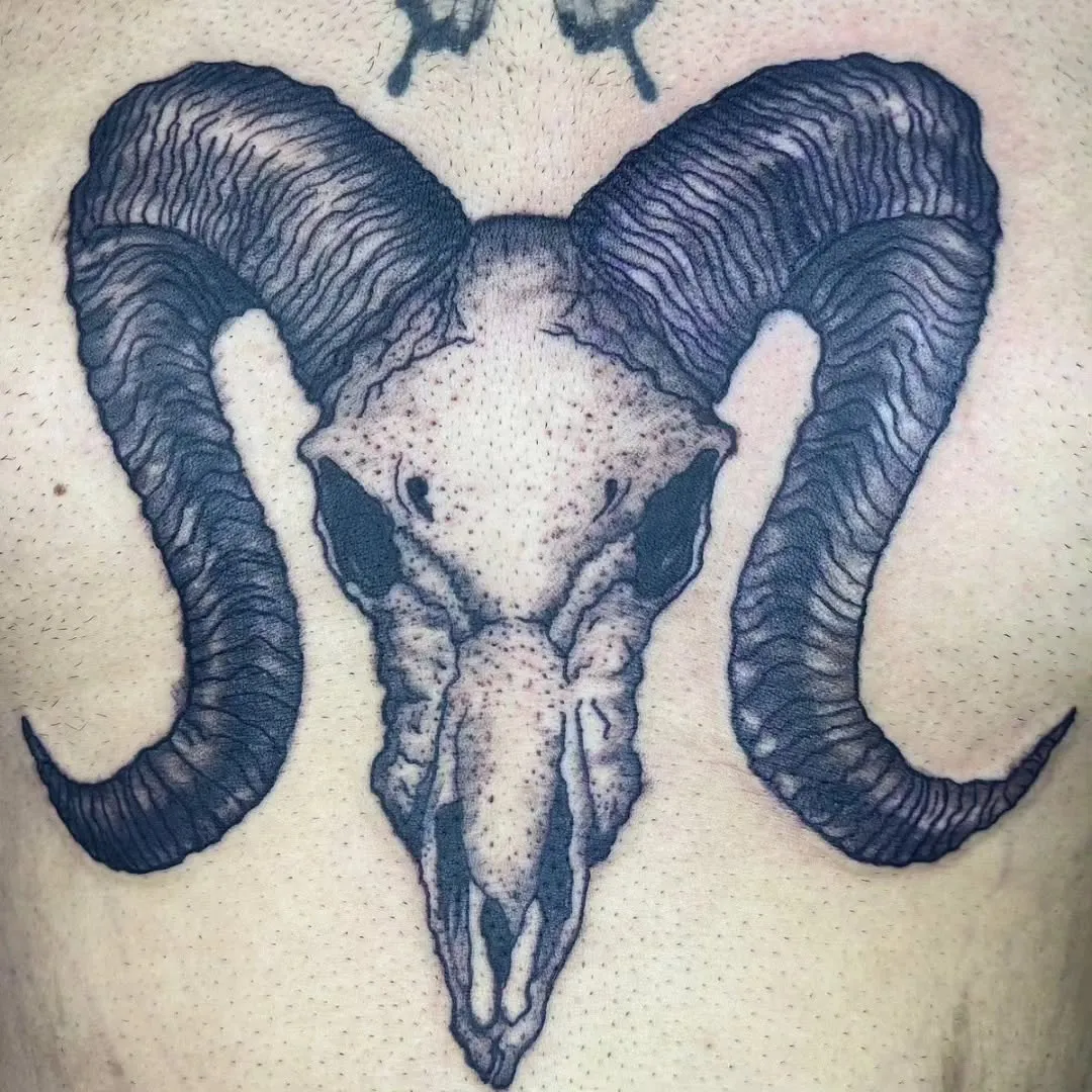 Cráneo de carnero en blackwork con puntillismo y negro sólido