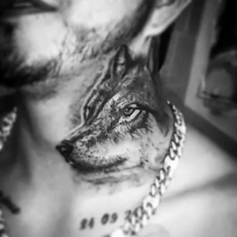 Lobo realista en negro y gris con la mirada al frente