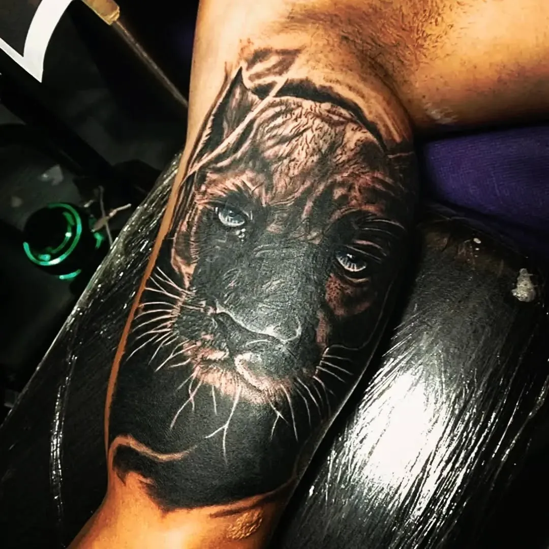 Felino realista en negro y gris con la mirada clara